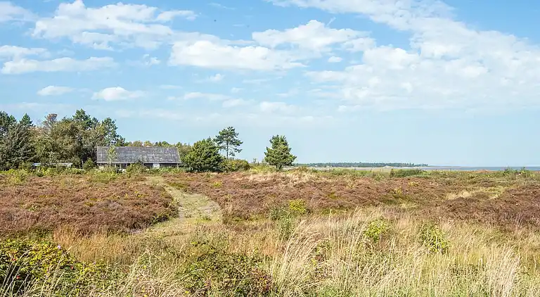 Holiday home in Havneby