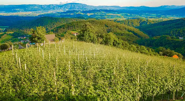 Villa in Gorenje Dole