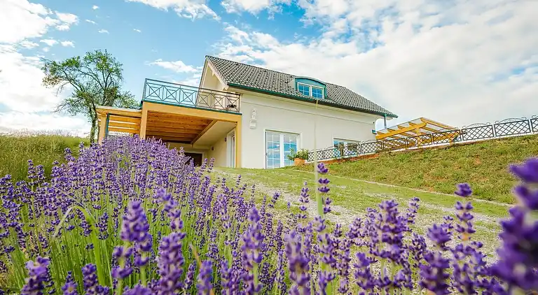 Villa in Gorenje Dole