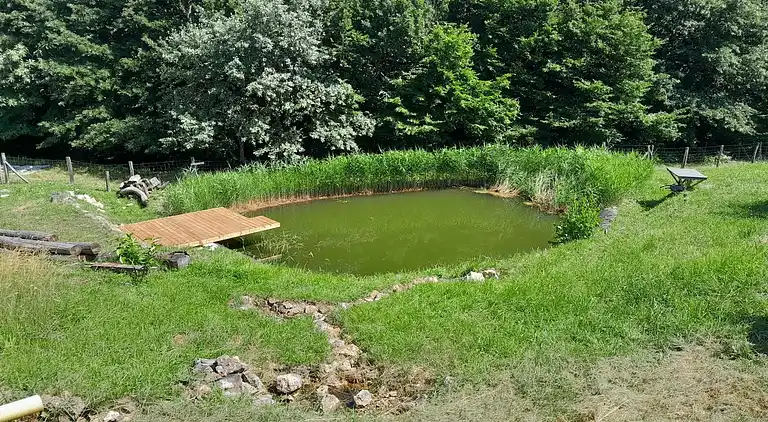 Apartment in Metni Vrh