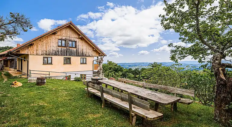 Apartment in Metni Vrh