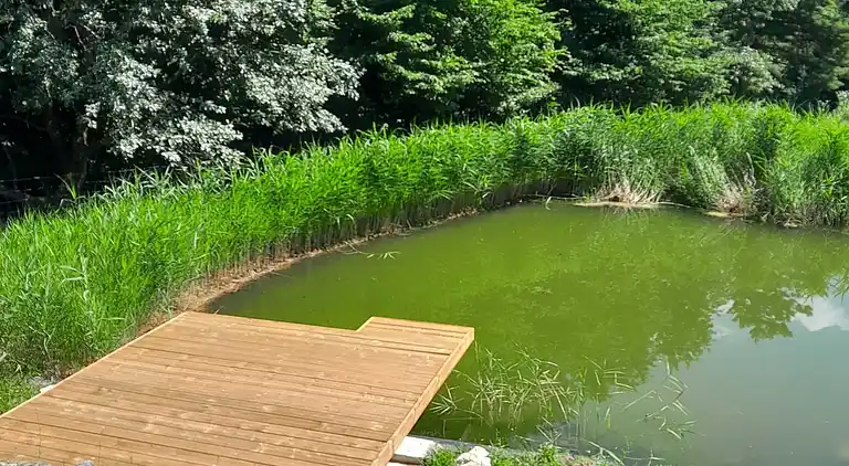 Apartment in Metni Vrh