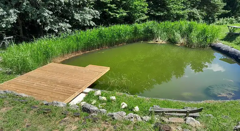 Apartment in Metni Vrh