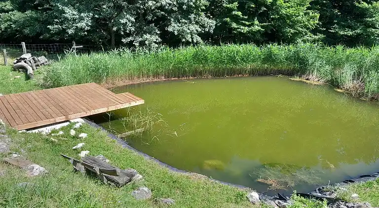 Apartment in Metni Vrh