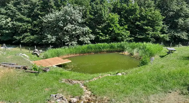 Apartment in Metni Vrh