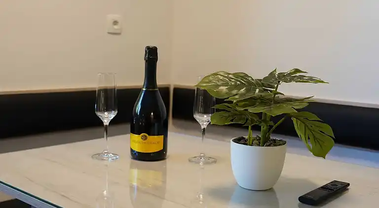 Ferienwohnung in Kranjska Gora