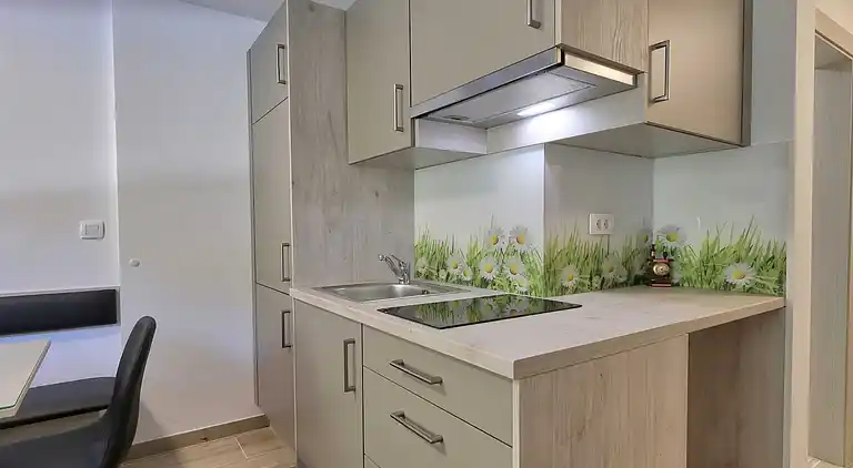 Ferienwohnung in Kranjska Gora