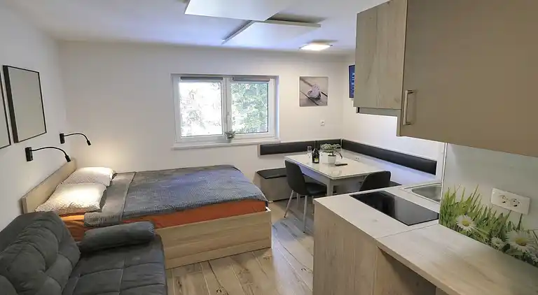 Ferienwohnung in Kranjska Gora