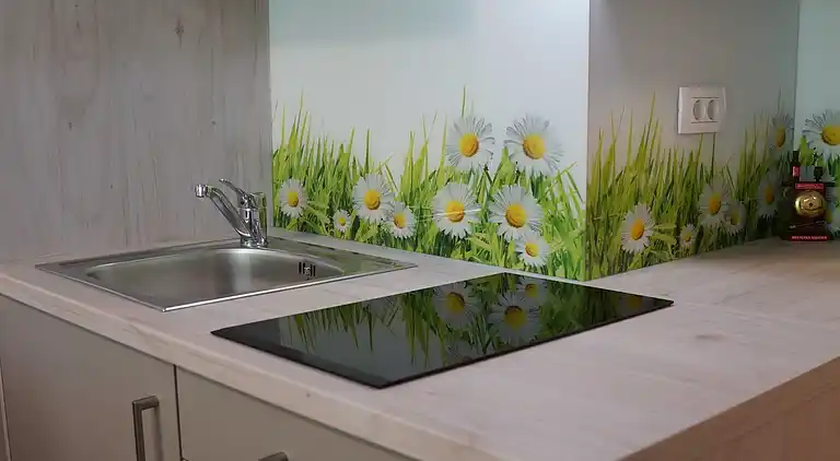 Ferienwohnung in Kranjska Gora