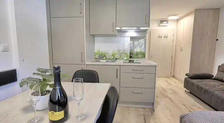 Ferienwohnung in Kranjska Gora