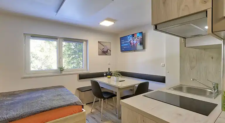 Ferienwohnung in Kranjska Gora