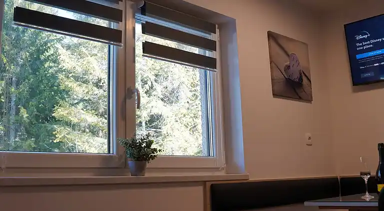 Ferienwohnung in Kranjska Gora