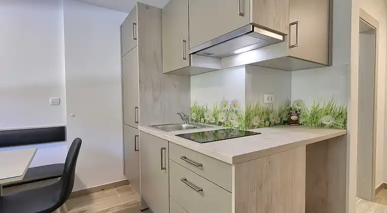 Ferienwohnung in Kranjska Gora