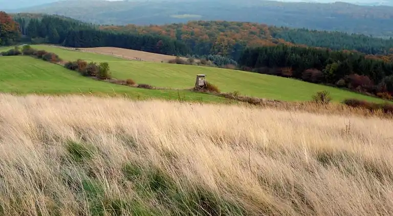 Ferielejlighed i Löwensen