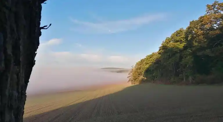 Ferielejlighed i Löwensen