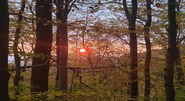 Ferielejlighed i Löwensen