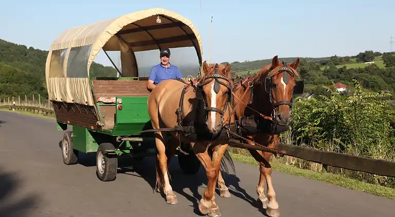 Sommerhus i Kronenburg