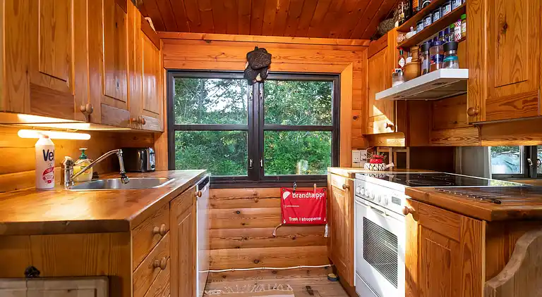 Semesterbostad i Skagen