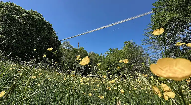 Sommerhus i Machtlos