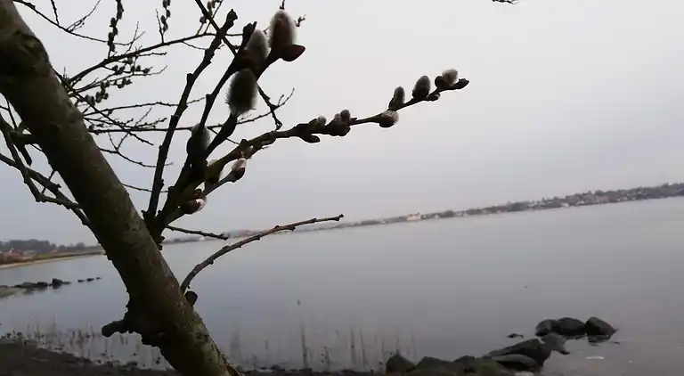 Holiday home in Hejlsminde Strand