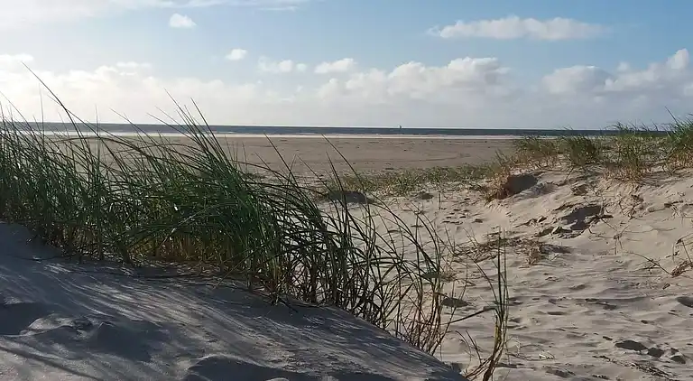 Sommerhus ved Rindby Strand