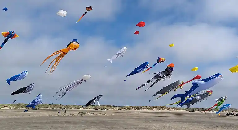 Sommerhus ved Rindby Strand