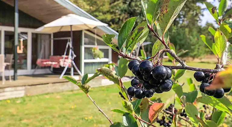 Holiday home in Skals