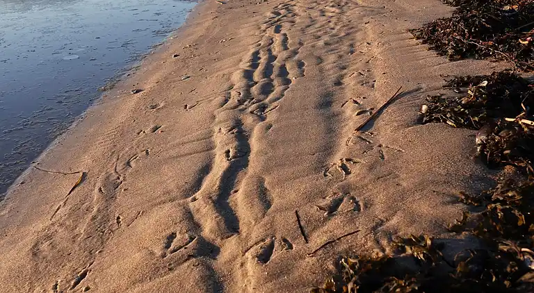 Holiday home in Sønderballe Strand