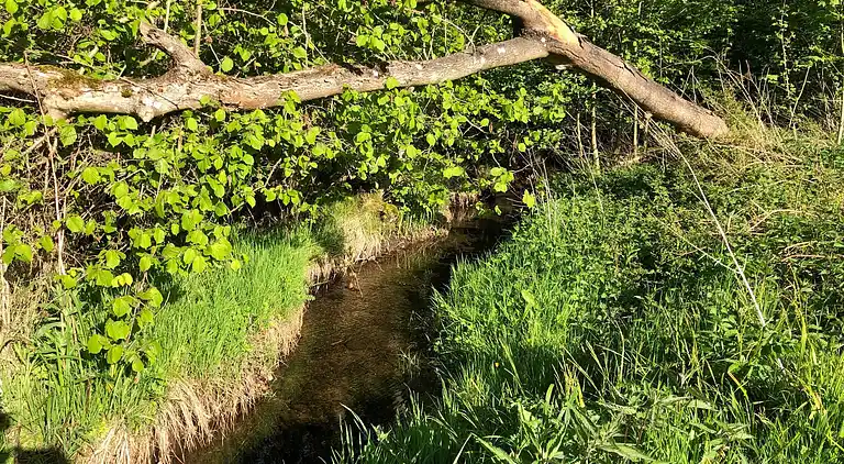 Holiday home in Sønderballe Strand