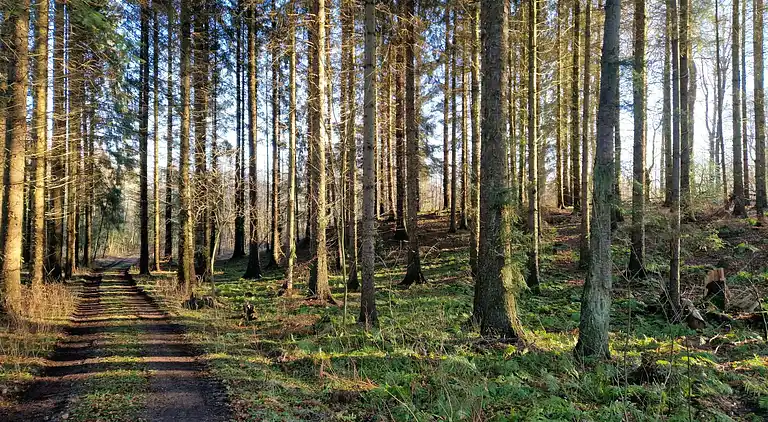 Vakantiehuis in Bjert