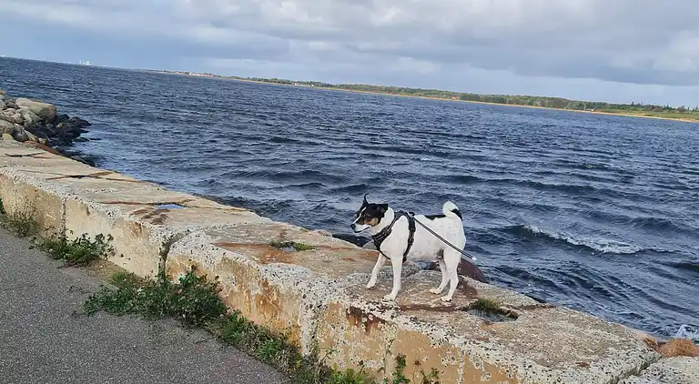 Holiday home in Storvorde