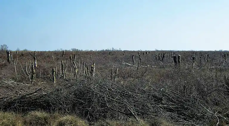 Holiday home in Storvorde
