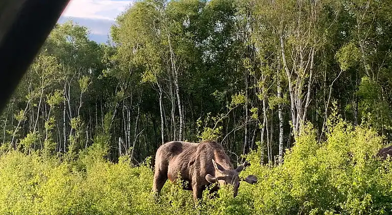 Holiday home in Storvorde