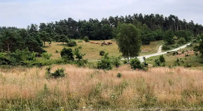 Holiday home in Knebel