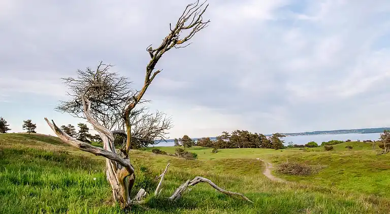 Holiday home in Knebel
