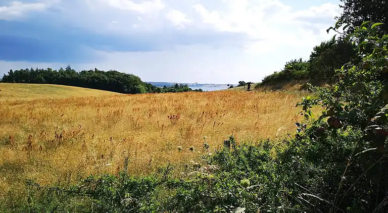 Holiday home in Knebel