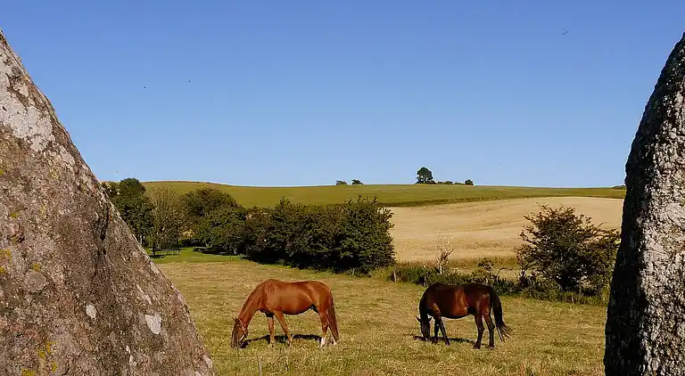 Holiday home in Knebel