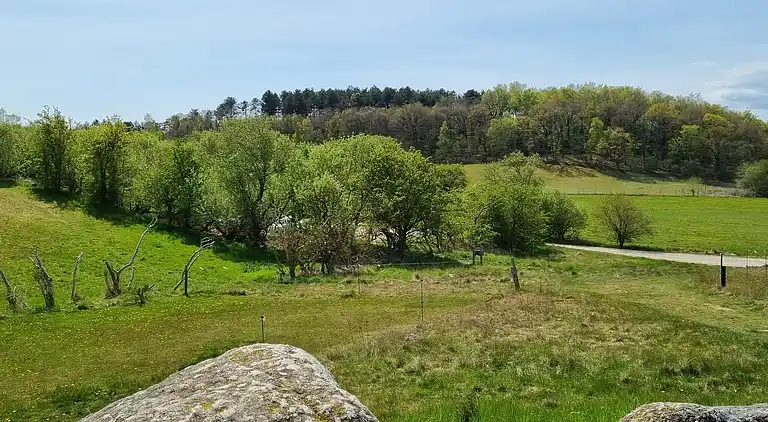 Holiday home in Knebel