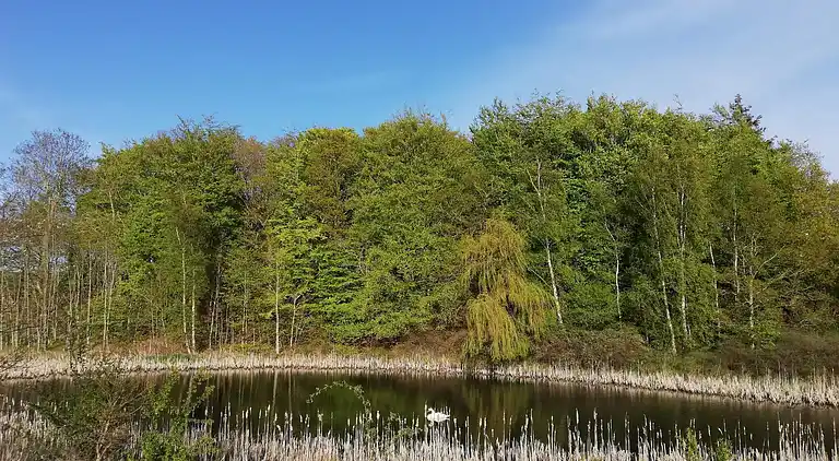 Holiday home in Knebel