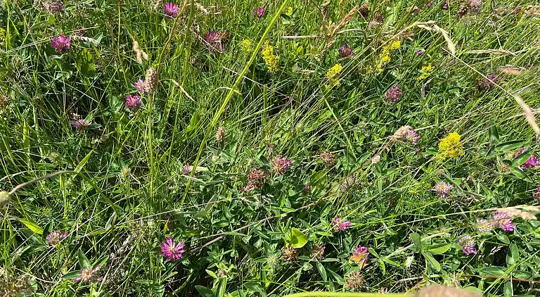 Holiday home in Knebel