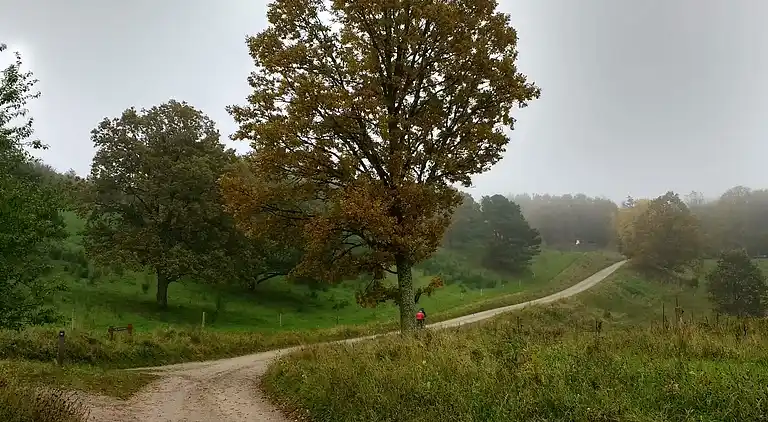 Holiday home in Knebel