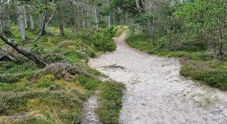 Holiday home in Ålbæk