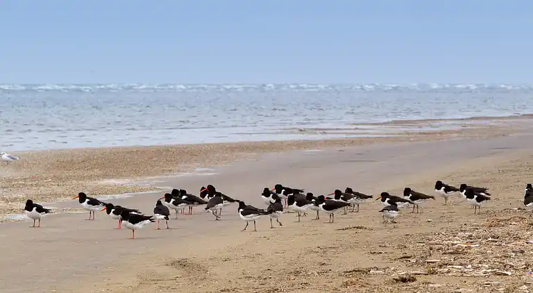 Holiday home in Rindby Strand
