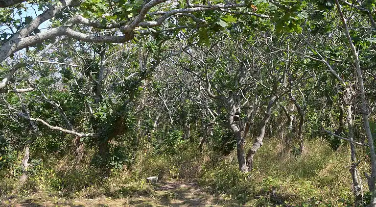 Holiday home in Ebeltoft