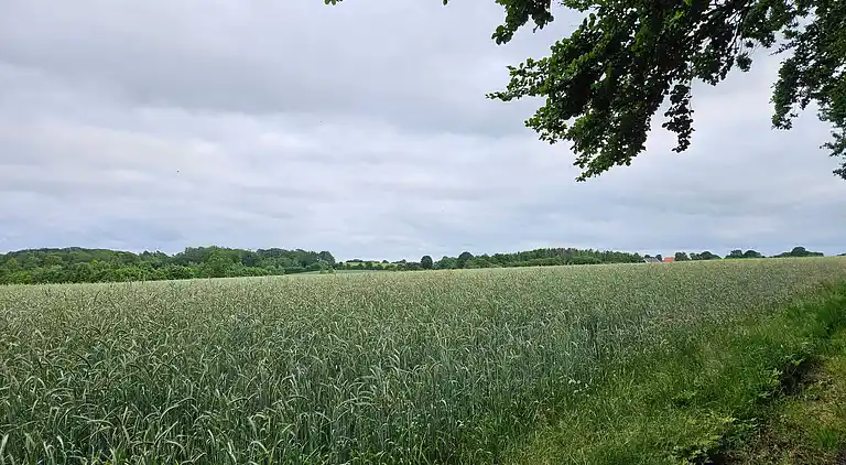 Semesterbostad vid Hejlsminde Strand