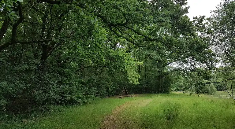 Sommerhus i Branderup J