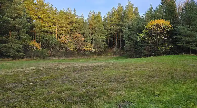 Holiday home in Branderup J