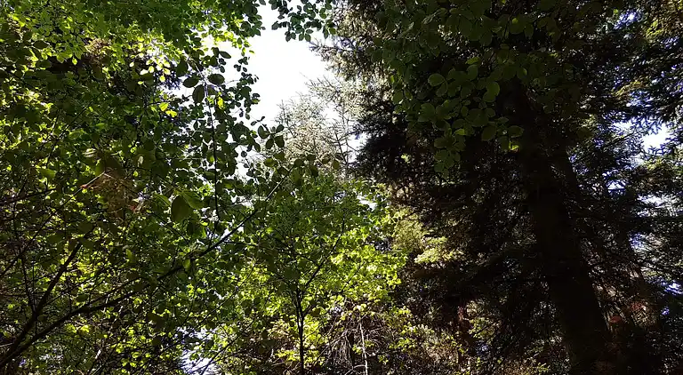 Sommerhus i Branderup J