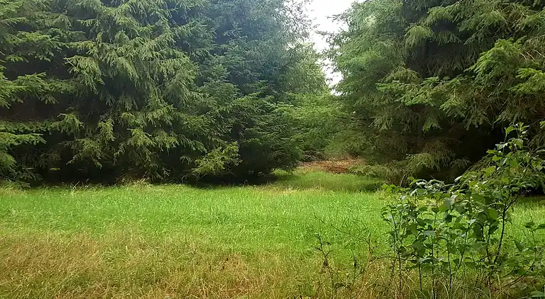 Holiday home in Branderup J