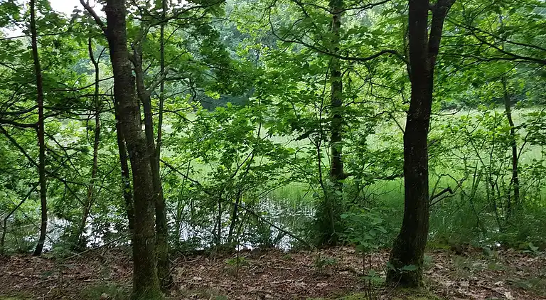 Sommerhus i Branderup J